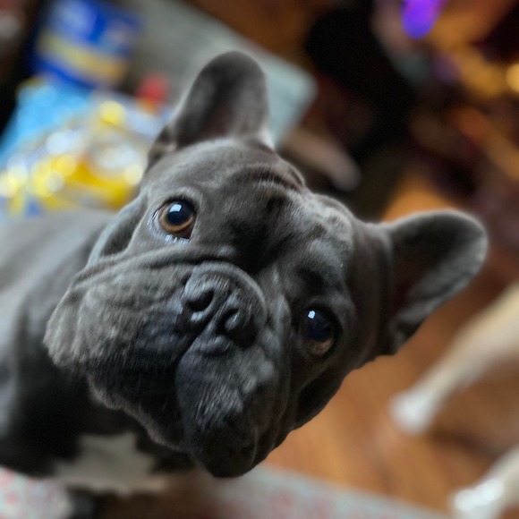 Meet your Posher, Jonathan - Picture 1 of 1